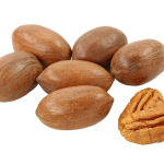 Pekanrieksti čaulā, lielie
